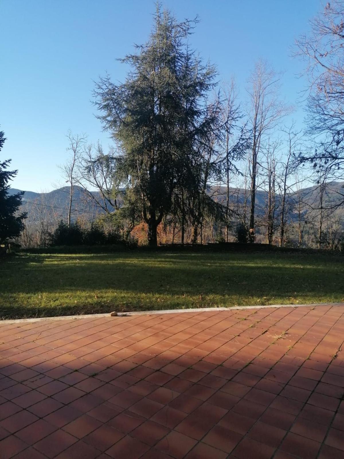 Villa Le Camelie Polverara Exterior foto